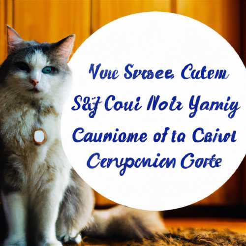 13 Signs Your Cat is Protecting You Spiritually - Discover the Spiritual Connection with Your Feline Companion