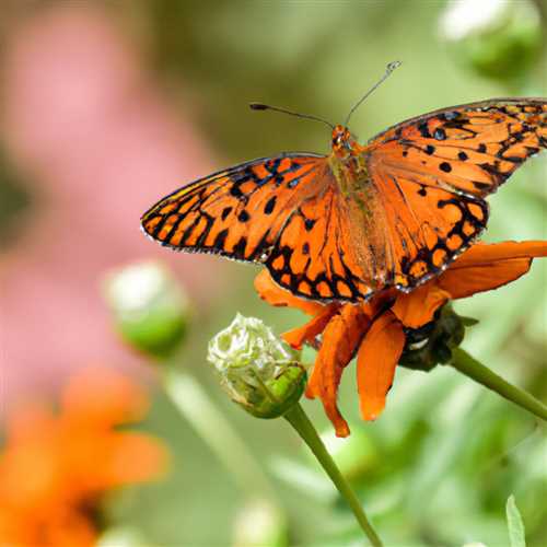 Discovering the Symbolic Meaning of Orange Butterflies