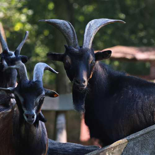 Exploring the Spiritual Meanings and Symbolism of Goats