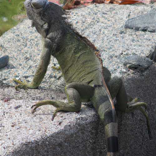 Iguana: Unveiling the Spiritual Meaning and Symbolism