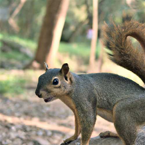 The Meaning Behind Dead Squirrel Sightings: What Does It Symbolize?