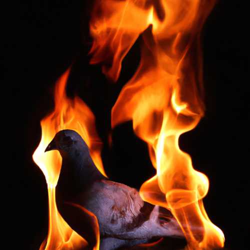 The Spiritual Meaning of a Burning Dove: Exploring its Symbolism