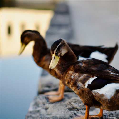 The Spiritual Meaning of Ducks: A Deep Dive into Symbolism and Interpretations