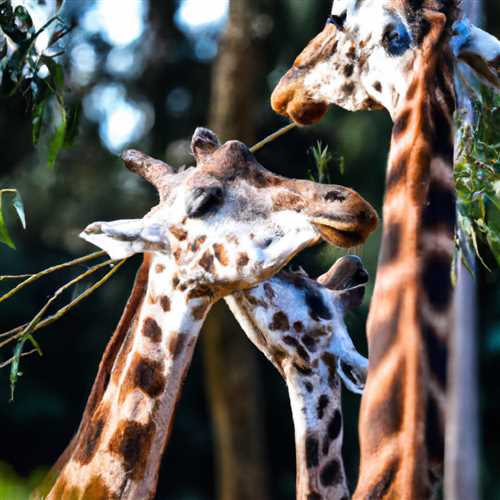 What do giraffes symbolize: The meaning and symbolism of giraffes