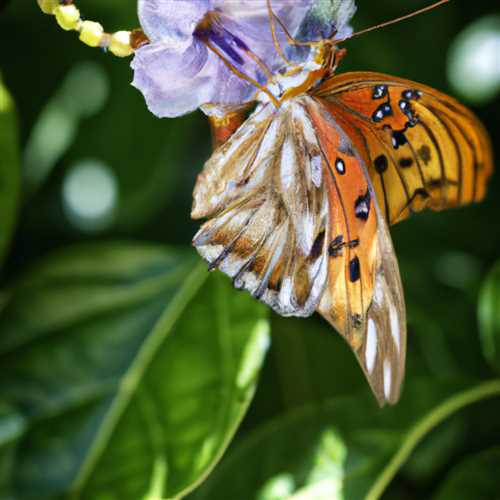 What Does a Purple Butterfly Mean? Discover the Symbolism Behind This Beautiful Insect